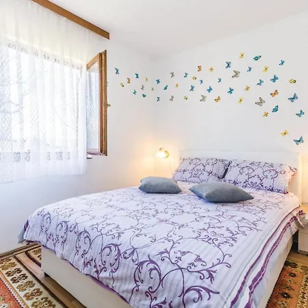 Amazing In With Kitchen Apartment Pavicini